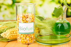 Post Green biofuel availability